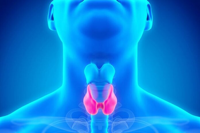 Thyroid-Galagand